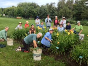 Volunteer - Mary Meyer