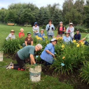 Work party in Daylily Bed